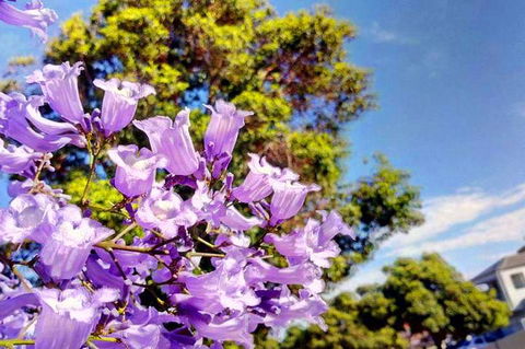 Big Perth (Private) Day Tour - Accommodation Resorts 3