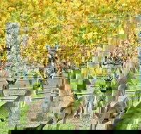 Margaret River Indulge and Discover Day Tour - Accommodation Resorts