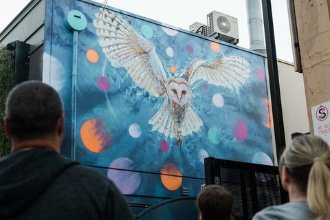 Jimmy C Street Art Walking Tour - Accommodation Resorts 1