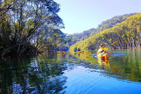 Half-Day Sydney Middle Harbour Guided Kayaking Eco Tour - Accommodation Resorts 1