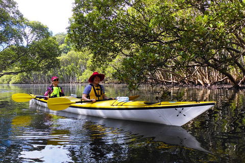 Half-Day Sydney Middle Harbour Guided Kayaking Eco Tour - Accommodation Resorts 3