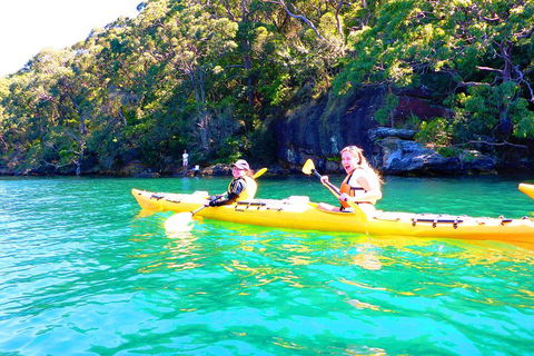 Half-Day Sydney Middle Harbour Guided Kayaking Eco Tour - Accommodation Resorts 4