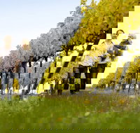 2-Day Private Daylesford  Macedon Ranges Gourmet Food Trail Tour from Melbourne - Accommodation Resorts