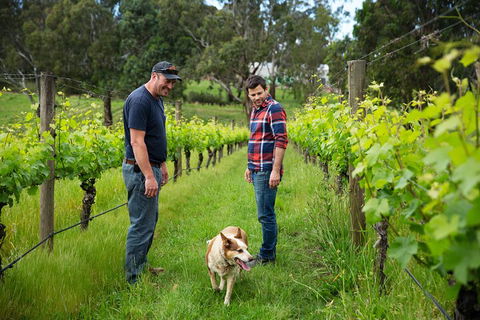 LGBT+ Friendly Full Day Yarra Valley & Dandenong Ranges Private Tour - Accommodation Resorts 4