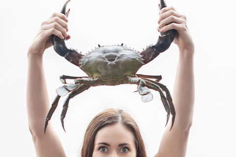 The Ultimate Gold Coast Attractions Pass - Accommodation Resorts 0