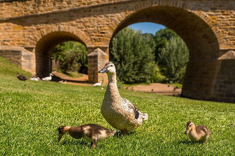 Richmond Historic Afternoon Tour From Hobart - Accommodation Resorts 1