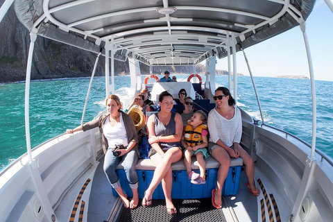Seal Island Boat Tour From Victor Harbor - Accommodation Resorts 1