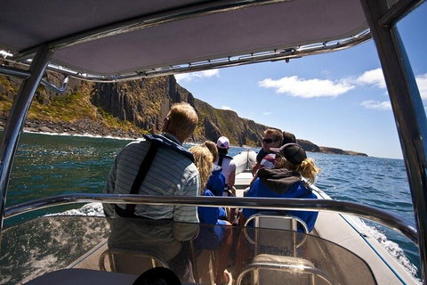 Seal Island Boat Tour From Victor Harbor - Accommodation Resorts 2