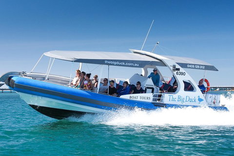 Seal Island Boat Tour From Victor Harbor - Accommodation Resorts 3