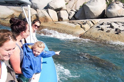 Seal Island Boat Tour From Victor Harbor - Accommodation Resorts 4