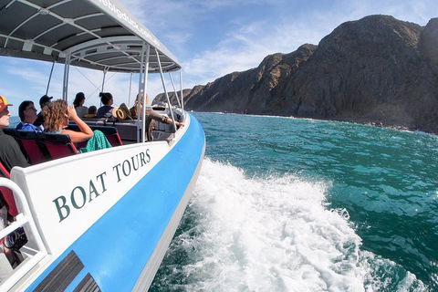 Southern Ocean Adventure From Victor Harbor - Accommodation Resorts 0