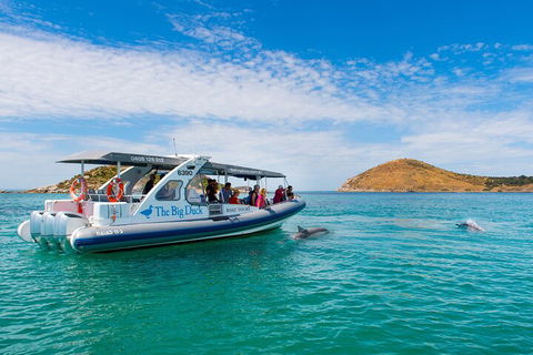 Southern Ocean Adventure From Victor Harbor - Accommodation Resorts 1