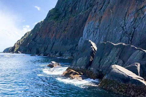 Southern Ocean Adventure From Victor Harbor - Accommodation Resorts 3