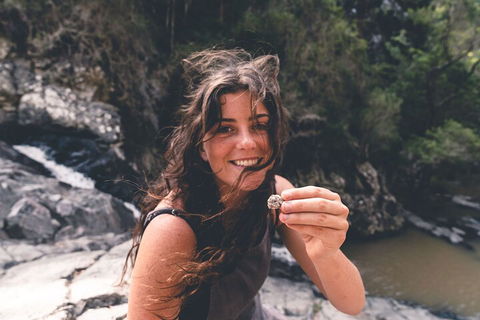 Springbrook AndTamborine Rainforest Tour Incl Natural Bridge And Glow Worm Cave - Accommodation Resorts 1