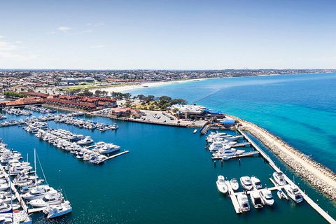 Lunch And General Admission Entry At AQWA - Accommodation Resorts 3