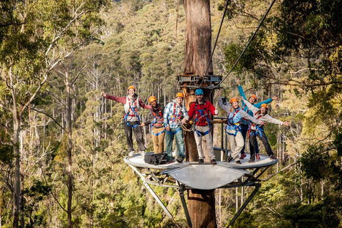 Hollybank Wilderness Adventure - Zipline Tours - Accommodation Resorts 1