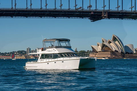 Vivid 90-Minute Sydney Harbour Small Group Catamaran Cruise - Accommodation Resorts 2