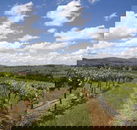 Hunter Valley Wine Tour from Sydney incl Lunch Cheese Chocolate and Distillery - Accommodation Resorts