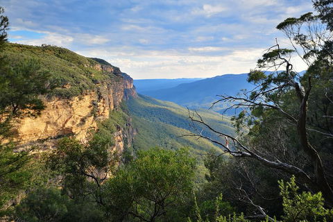 Sunset Blue Mountains Wilderness & Wildlife Tour Without The Crowds - Accommodation Resorts 2
