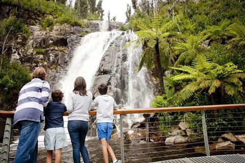 Lake Mountain Snow Trip Including Yarra Valley Chocolaterie From Melbourne - Accommodation Resorts 0