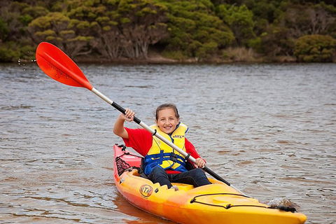 Kangaroo Island Self-Guided Kayaking On The Harriet River - Accommodation Resorts 1