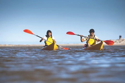Kangaroo Island Self-Guided Kayaking On The Harriet River - Accommodation Resorts 2