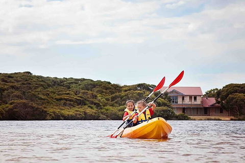 Kangaroo Island Self-Guided Kayaking On The Harriet River - Accommodation Resorts 3
