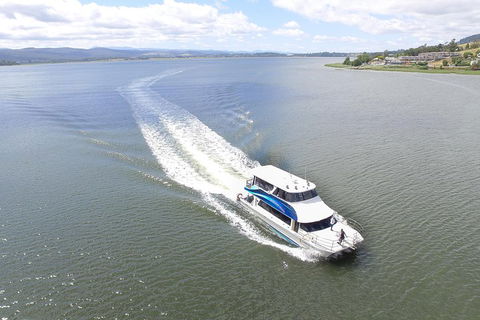 2.5 Hour Morning Discovery Cruise Including Sailing Into The Cataract Gorge - Accommodation Resorts 2