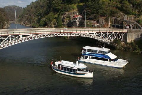 2.5 Hour Morning Discovery Cruise Including Sailing Into The Cataract Gorge - Accommodation Resorts 5