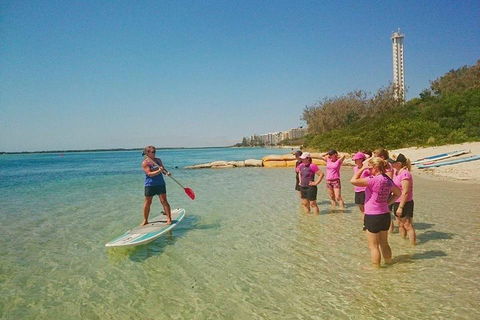 Golden Beach 1-Hour Stand-Up Paddleboard Hire On The Sunshine Coast - Accommodation Resorts 1