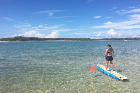 Golden Beach 1-Hour Stand-Up Paddleboard Hire On The Sunshine Coast - Accommodation Resorts 4