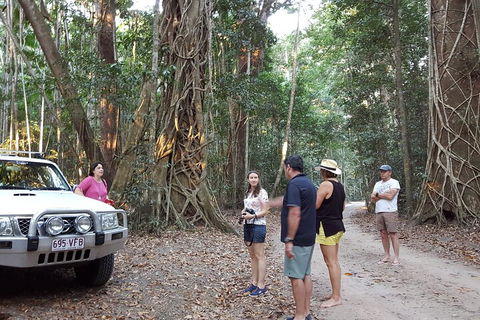 Great Beach Drive 4WD Tour - Private Charter From Noosa To Rainbow Beach - Accommodation Resorts 1