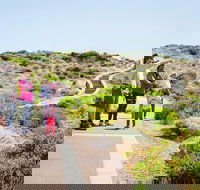 Margaret River Coastal and Wildlife Eco Trip from Busselton or Dunsborough - Accommodation Resorts